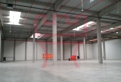 Spațiu industrial, în Câmpenești