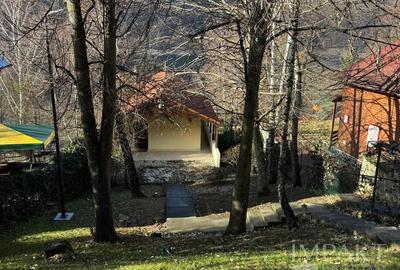 Casa de vacanta pe malul Lacului Tarnita, 650 m2 teren - 3