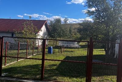 Casă proprietate spațioasă de vanzare - 4