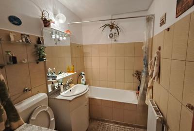Apartament 2 camere de vanzare in Busteni, cartier Silva - 8