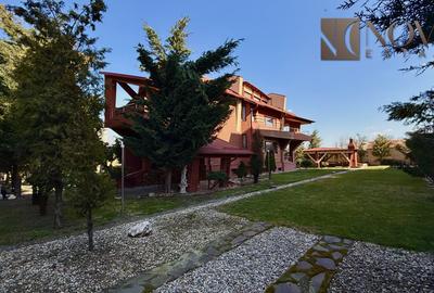 Casa de Inchiriat | Baneasa | 1.600 mp Curte - 9