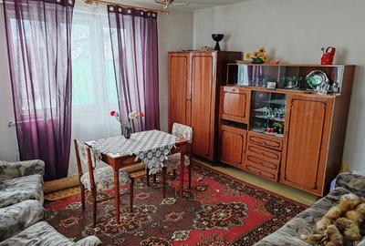 Casă individuala, 4 camere, 100mp, teren 1470mp, sat Suceagu - 8