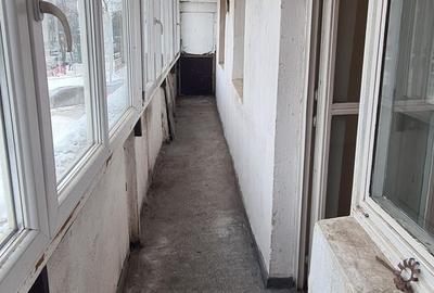 Lacul Tei stradal vav Facultatea de Constructii,langa Parcul Tei - 11