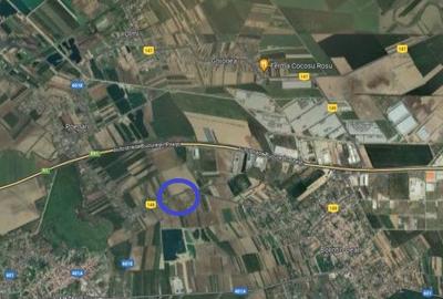 Vanzare teren 5.000 mp, stradal, DC 148 Bolintin Deal - Poenari - 1