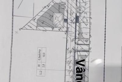 Teren intravilan Bucium Iași – plan doi, 55 ml deschidere, drum privat 7 m - 2