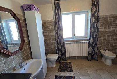 Casa si Spatiu Afacere in Rusii Manastioara - Suceava! - 15