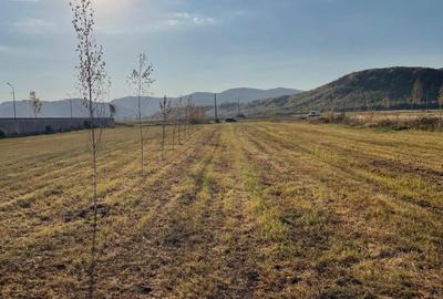 Vanzare teren intravilan 3000 mp, deschidere 28 m cu utilități Măgureni, Prahova - 6