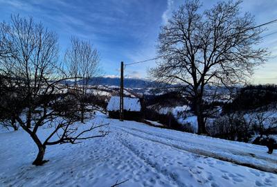 Teren intravilan Simon/Bran, 4318 mp , casuta intabulata, utilitati - 12