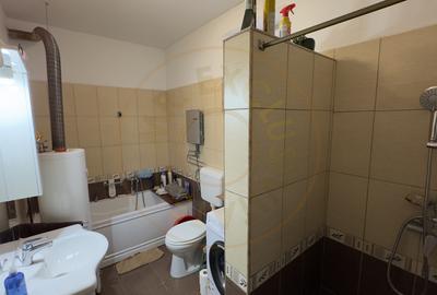 Casa 4 camere cu Teren 2.974 mp | Rezidenta sau afacere | Carei - 9