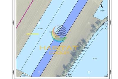 Teren agricol extravilan de 13500 mp, în Afumați
