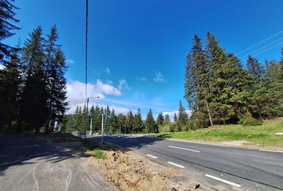 TEREN DE VANZARE 7000 MP INTRAVILAN -STATIUNEA PALTINIS! - 3