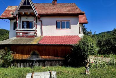 Oportunitate Investitie, casa de vacanta Bradet-Brasov - 12