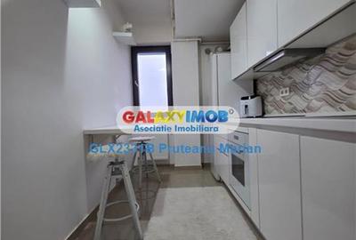 Inchiriere apartament cu 2 cam Premium aproape de Policlinica Brancusi - 29