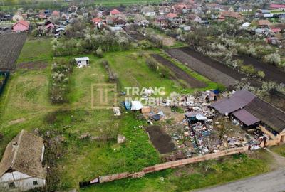 Teren intravilan 3.593 mp de vânzare în Parța - 6