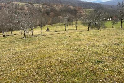 Teren intravilan si extravilan Luncoiu de Jos - 7