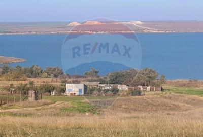 Teren extravilan de vanzare - Navodari - 1