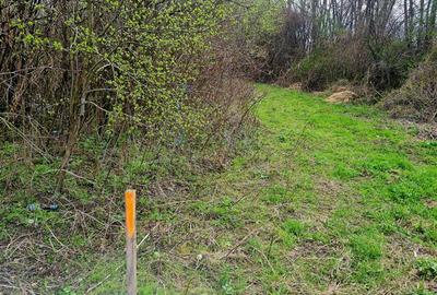 1.700mp intravilan,acces usor,intre case,ideal 2 locuinte/investitie,Lunca Calni - 6