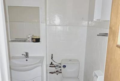 Apartament 2 camere-Mobilat/Utilat-Dristor-Camil Ressu - 8