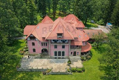 Palatul Stirbei - Darmanesti - 1