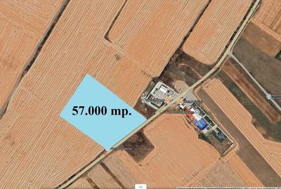 5,7 Ha. vav de Dovinot - Mihailesti, teren intravilan cu deschidere la DN6 - 1
