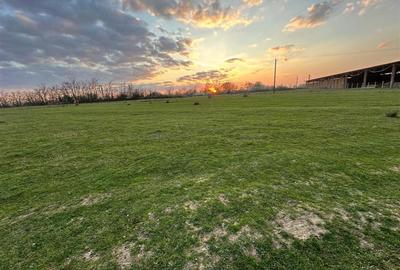 Bocsa Romana, 2 terenuri intravilan, 10.000 Mp.(59.900 Euro) si arabil, 80.000 M - 2