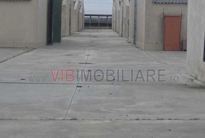 *Fermă modernă pentru export miei | 6 ha | Standarde europene | Aproape de Brăil - 7