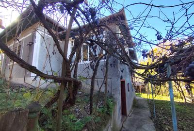 Casa Individuală 3 camere| 769 mp teren| zona Blaj - 1