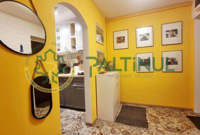 Apartament 2 camere cu balcon, renovat complet, Terezian - 9