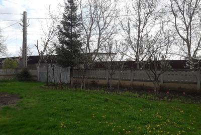 Vând grădină în Tg.Frumos - 15
