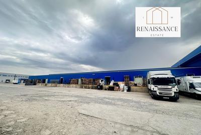 3 Hale Clasa A | 11.250mp Construiti 25.450mp Teren | Freidorf - 11