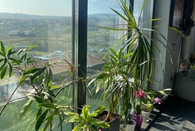 Penthouse de inchiriat in Borhanci, terasa generoasa - 12