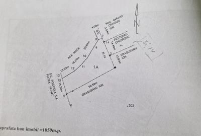 Teren - Roman  -Trifesti - ieșire la lac - livada pe rod - 14