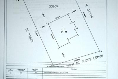 Casă P+M cu placă de beton, teren 450 mp, curte amenajată – Giurgiu, Str. Negru - 14