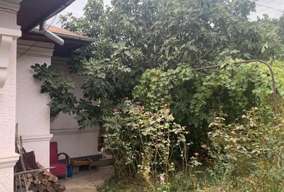 Vanzare  Teren  cu casa batraneasca  Voluntari Popasului - 1