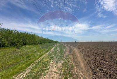 Teren 138.104 mp Dragomiresti-Vale, Ilfov, langa A0 - 3