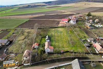 FILM! 5.000mp teren intravilan cu casuta rustica, Dalnic, Covasna - 19