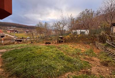 Casa Individuala Valea Jalnei 550mp teren - 12