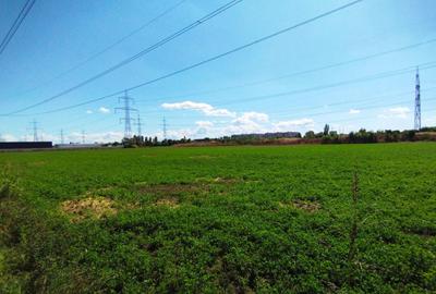 Teren intravilan de 13652 mp, în Theodor Pallady