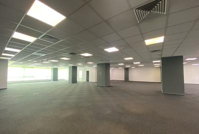 Sema Office, Splaiul Independentei 319 - comision 0%, reprezentam proprietarul! - 15