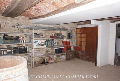 ELEGANTA SI LINISTE LA CATIVA PASI DE STATIUNILE VALCENE - 19