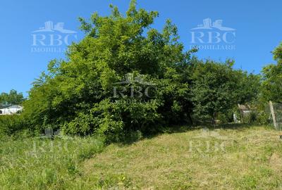 Teren intravilan 4600 mp cu front de 25 m pe strada Odobesti - 4