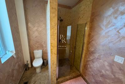 Proprietate ideala pentru afacere! - 4
