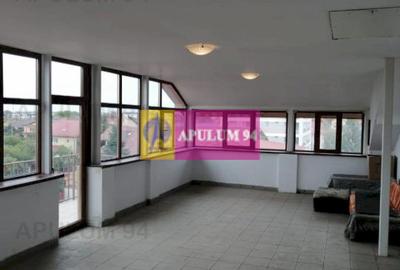 Vila Spatioasa Bucuresti - 8