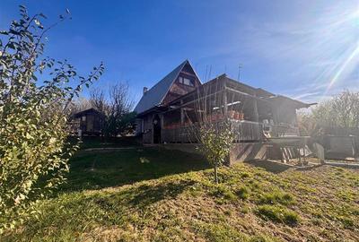 Proprietatea deosebita cu 4000mp teren, Barnova - 1