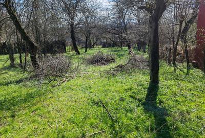 Casa 3 camere libera la vanzare TARLUNGENI - 28