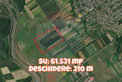 De vanzare Teren extravilan 61.531 mp, Com Mitreni, Calarasi / DN 4 - 3