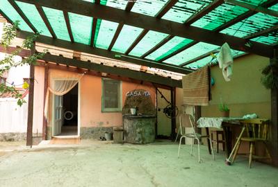 Casa D+P+E+M, Comuna Licurici - Gorj - 2