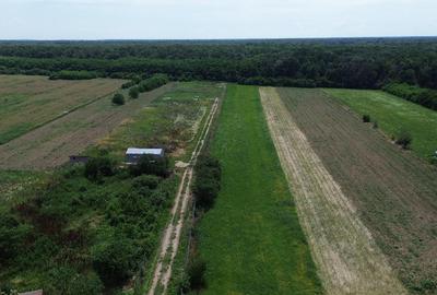 Snagov, Gruiu, Teren Intravilan 8,300 mp, Strada Tobosari - 7