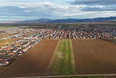 Loturi de vanzare cu PUZ, 500 mp, Izvor, Brasov - 3