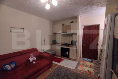 Camera camin, 17 mp, zona Bularga - 3